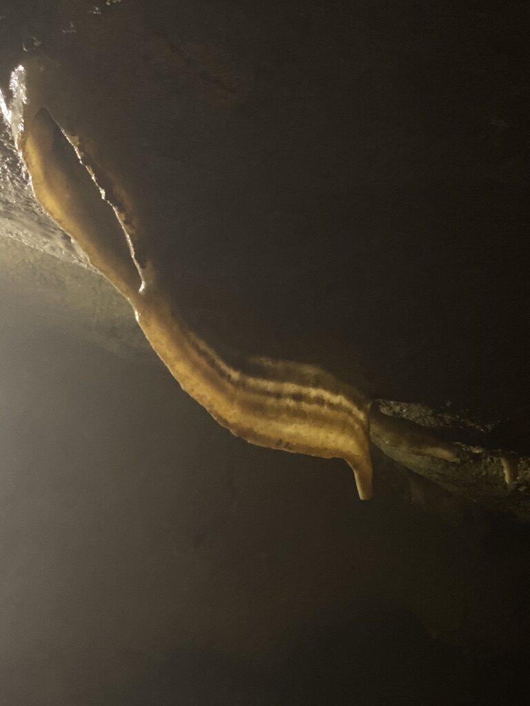Concrezione calcarea in grotta